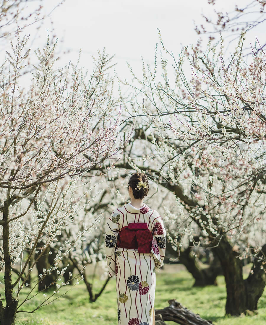 【The power of plums~梅のチカラ~】想像を超えた、梅のチカラ。