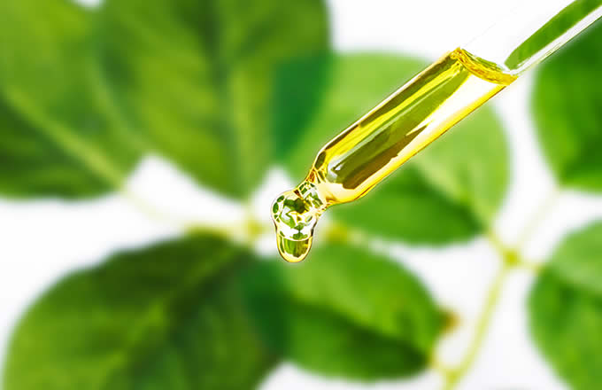 酸化を食い止める「抗酸化成分」