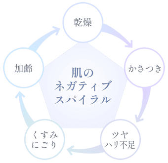 乾燥 かさつき ツヤ ハリ不足 くすみにごり 加齢 肌の ネガティブ スパイラル
