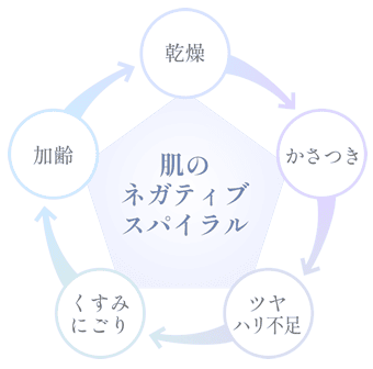乾燥 かさつき ツヤ ハリ不足 くすみにごり 加齢 肌の ネガティブ スパイラル